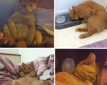 Screenshot 2025 06 11 At 11.14.12 Pm